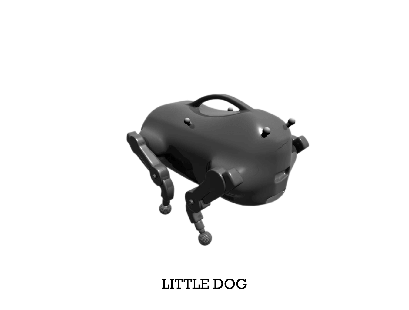 little dog