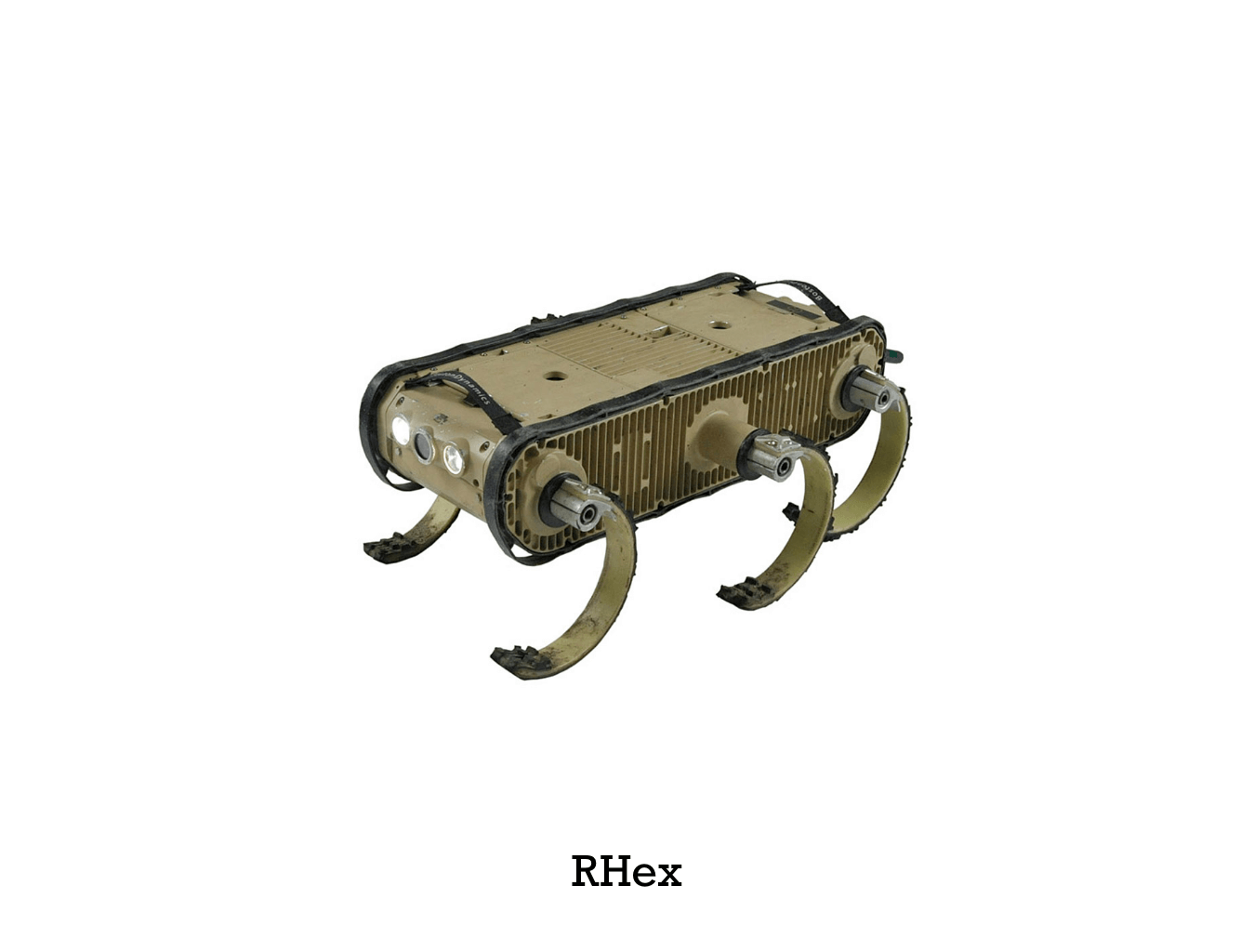RHex